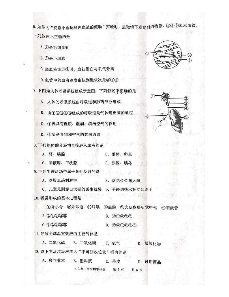 辽宁省沈阳市皇姑区2022-2023学年七年级下学期7月期末生物试题02