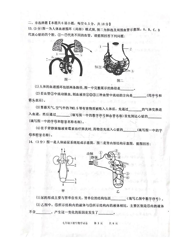 辽宁省沈阳市皇姑区2022-2023学年七年级下学期7月期末生物试题03