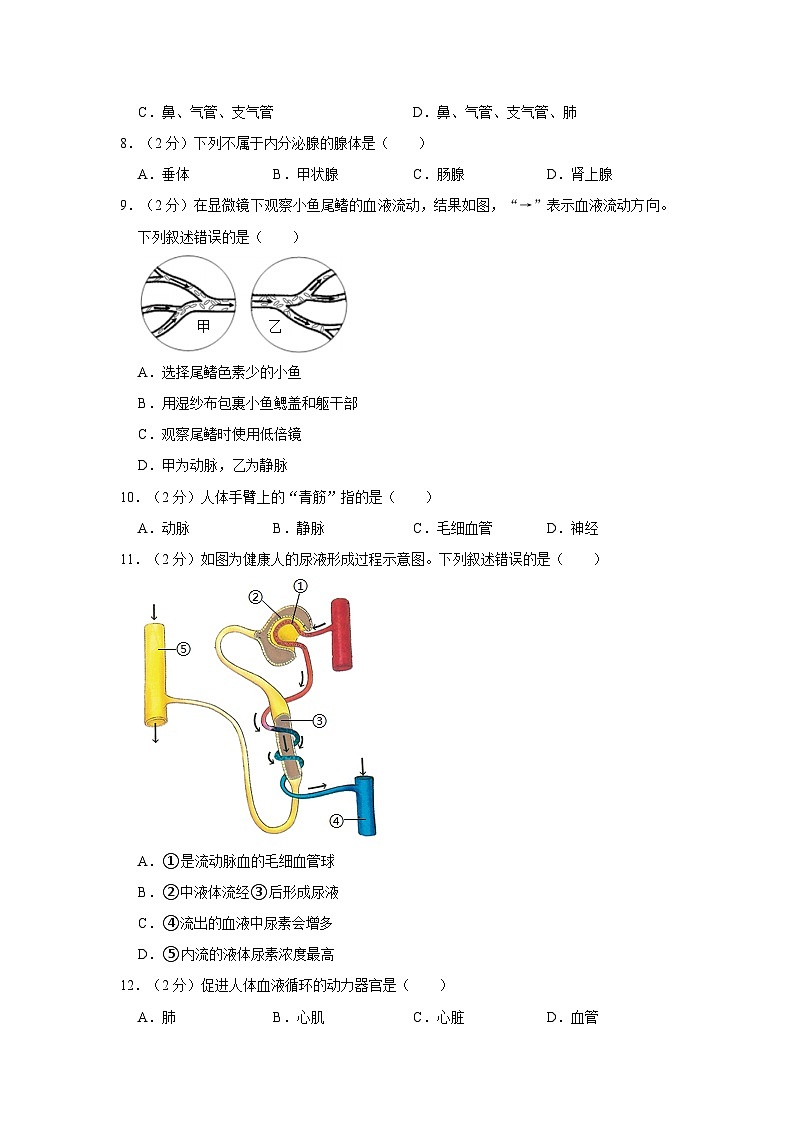 2022-2023学年福建省泉州市丰泽区七年级（下）期末生物试卷第2页
