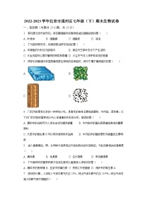 2022-2023学年北京市通州区七年级（下）期末生物试卷（含解析）