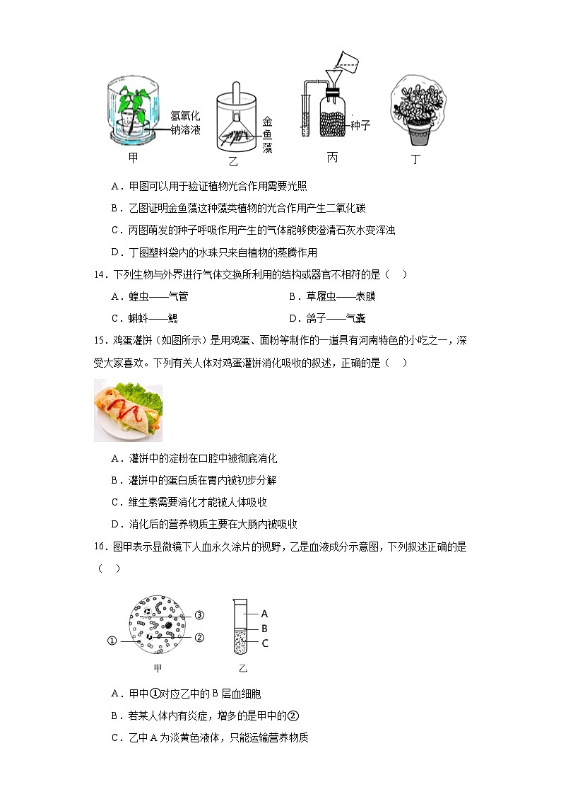 北京市燕山区2022-2023学年七年级下学期期末生物试题（含答案）第3页