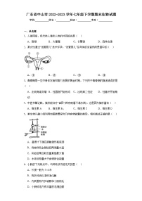 广东省中山市2022-2023学年七年级下学期期末生物试题（含答案）