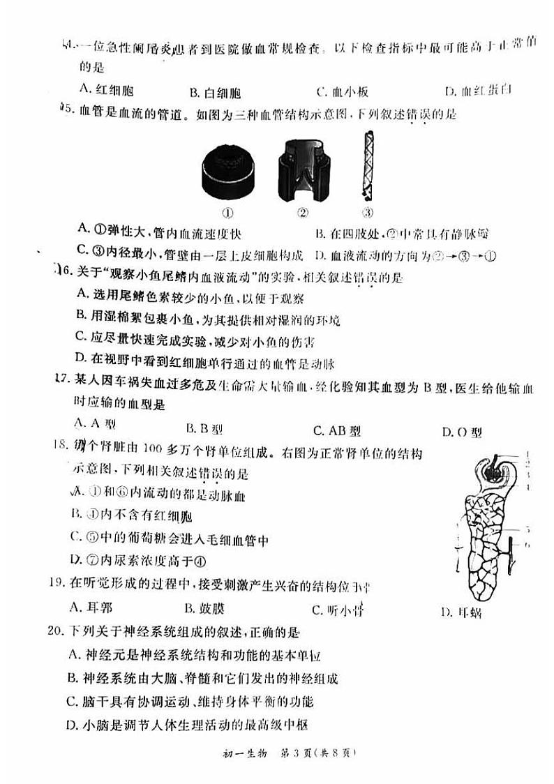 北京市东城区2022--2023学年七年级下学期期末生物试题第3页