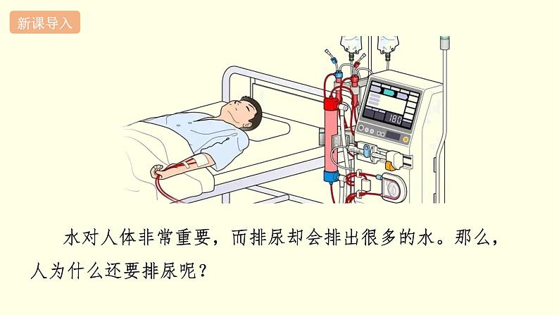 苏科版生物八上15.2  人体内废物的排除（课件PPT）02