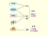 苏科版生物八上15.2  人体内废物的排除（课件PPT）