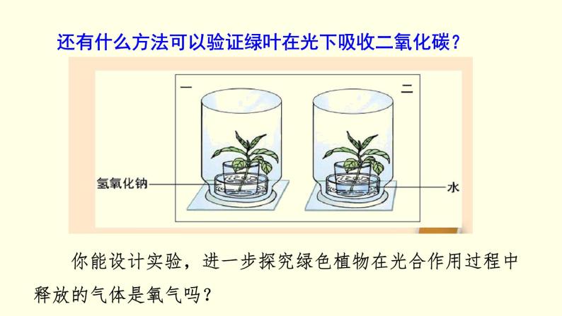 苏科版生物八上18.2  绿色植物与生物圈中的碳—氧平衡（课件PPT）07