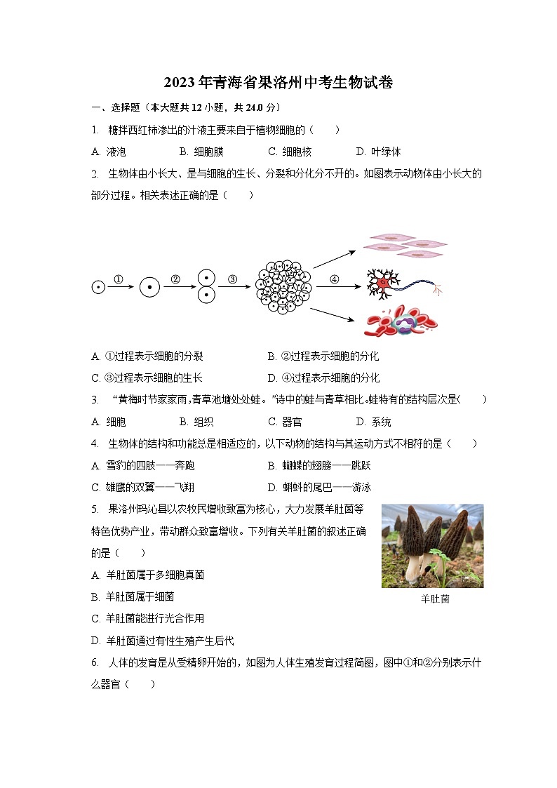 2023年青海省果洛州中考生物试卷（含解析）01