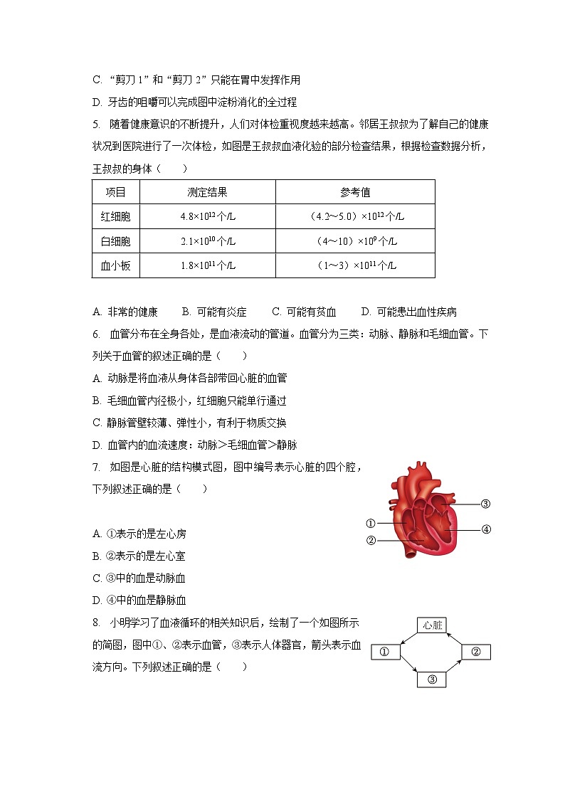 2022-2023学年四川省成都市武侯区七年级（下）期末生物试卷（含解析）第2页