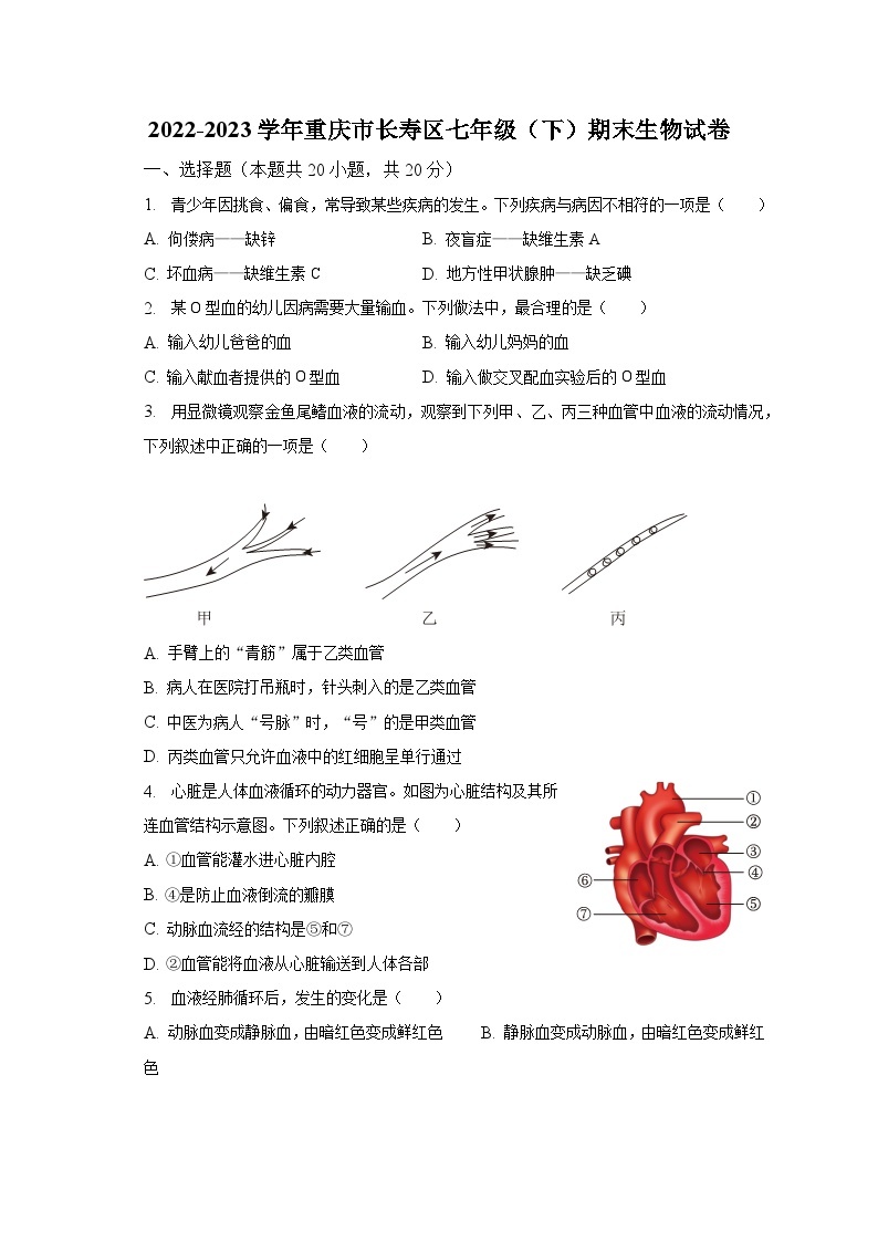 2022-2023学年重庆市长寿区七年级（下）期末生物试卷（含解析）01