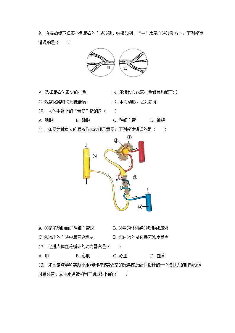 2022-2023学年福建省泉州市丰泽区七年级（下）期末生物试卷（含解析）02