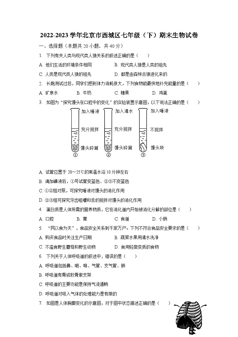 北京市西城区2022-2023学年七年级下学期期末生物试卷（含答案）01