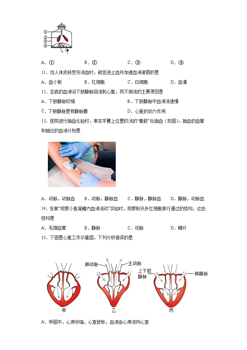 河北省承德市宽城县2022-2023学年七年级下学期期末考试生物试题（含答案）第2页