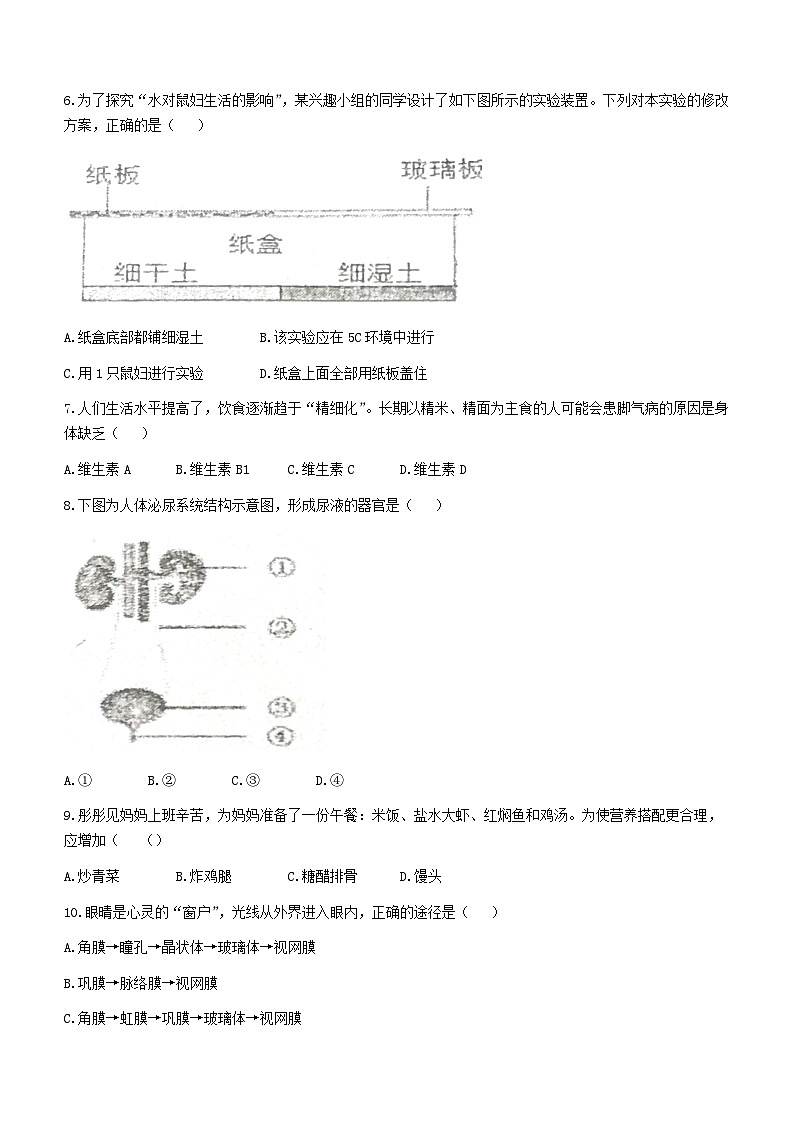 河北省承德市平泉市2022-2023学年七年级下学期期末生物试题（含答案）第2页