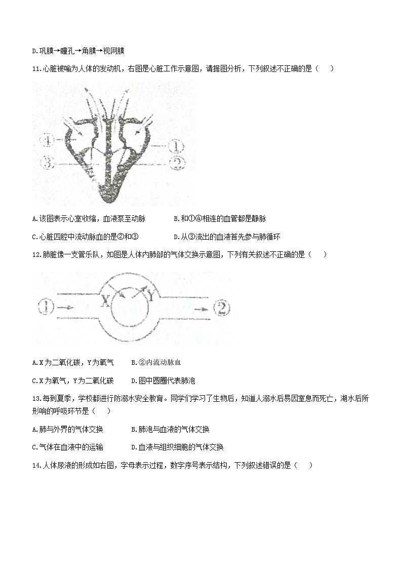 河北省承德市平泉市2022-2023学年七年级下学期期末生物试题（含答案）第3页
