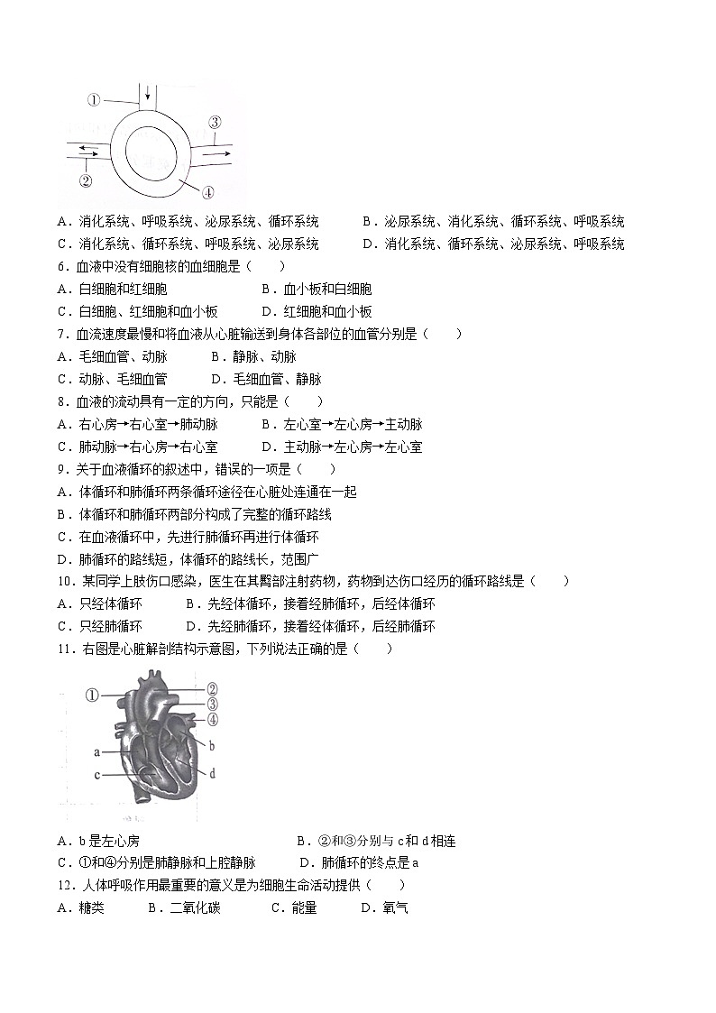 河北省张家口市桥西区2022-2023学年七年级下学期期末生物试题（含答案）第2页