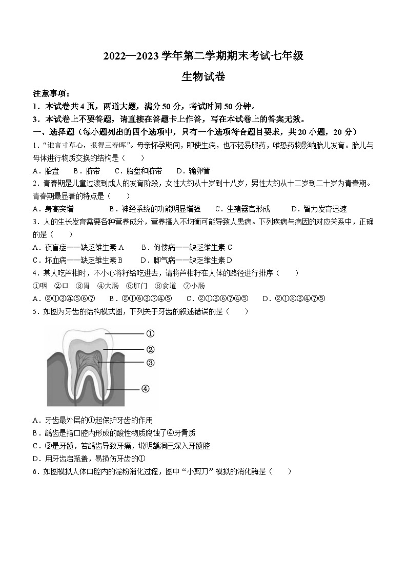 河南省洛阳市嵩县2022-2023学年七年级下学期期末生物试题（含答案）01