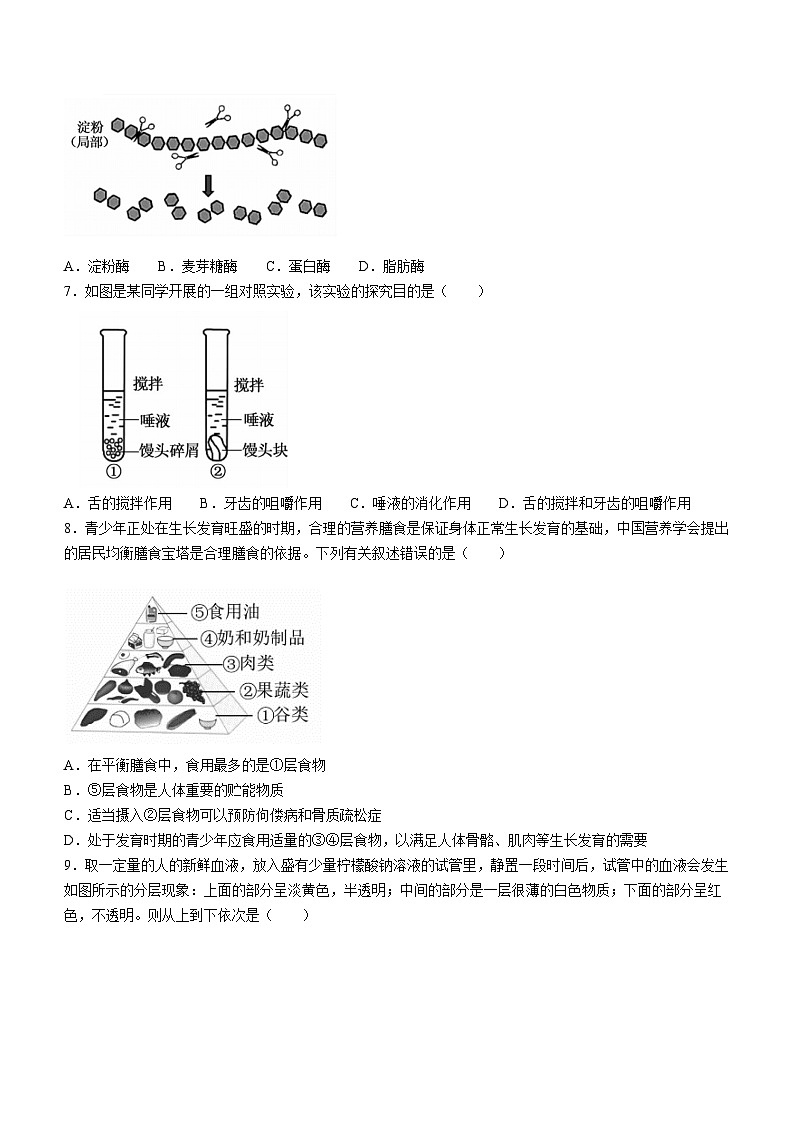 河南省洛阳市嵩县2022-2023学年七年级下学期期末生物试题（含答案）02