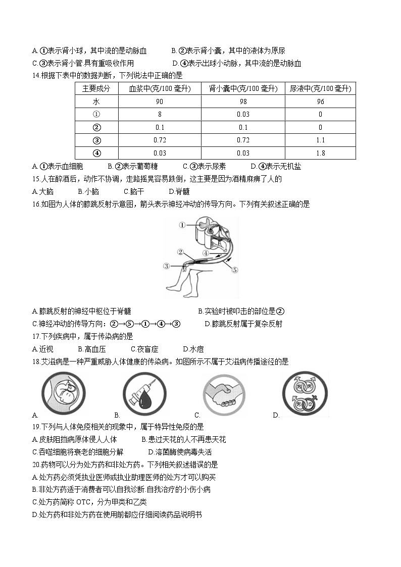 吉林省长春市宽城区2022-2023学年七年级下学期期末生物试题（含答案）第3页