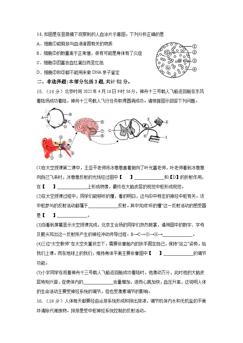 山西省吕梁市交城县2022-2023学年七年级下学期期末生物试题（含答案）03