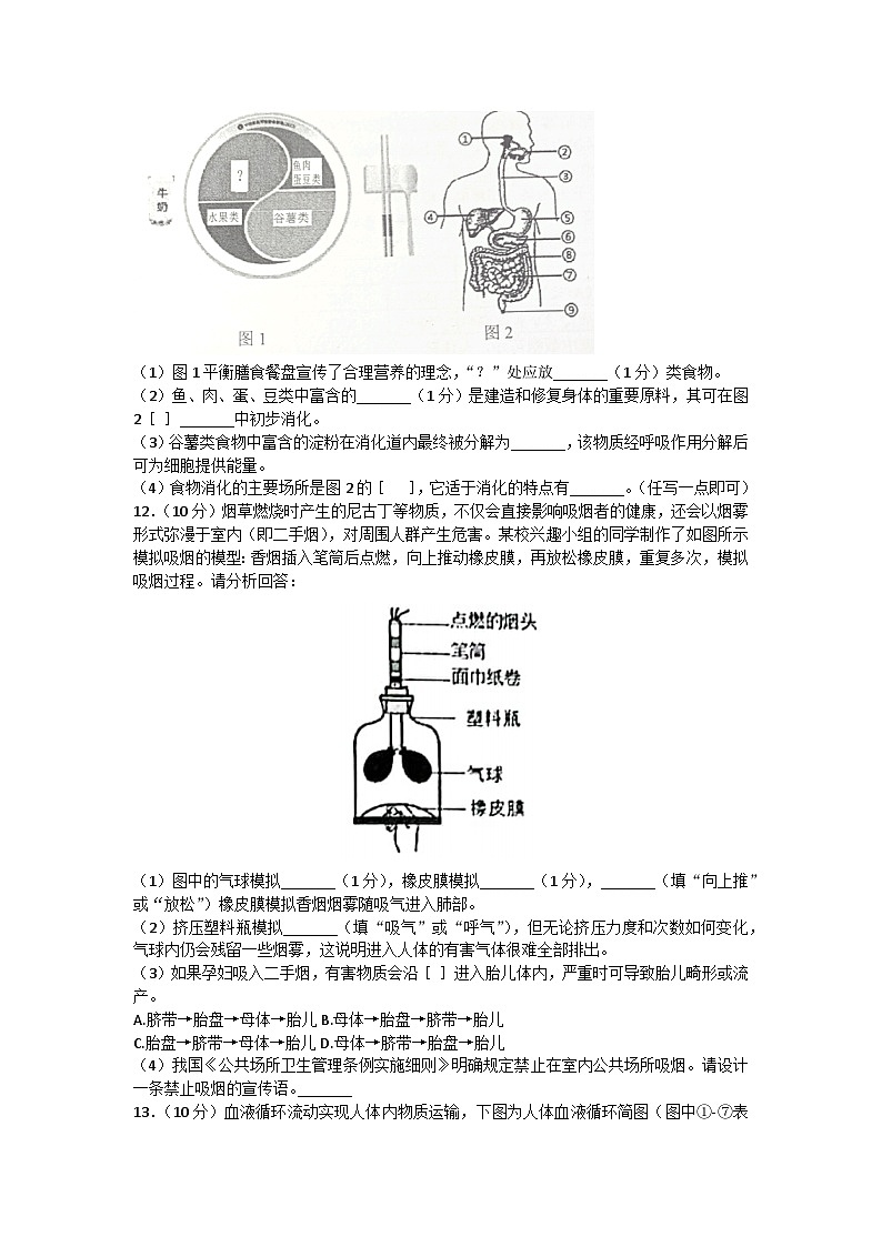 四川省南充市2022-2023学年七年级下学期7月期末生物试题（含答案）03