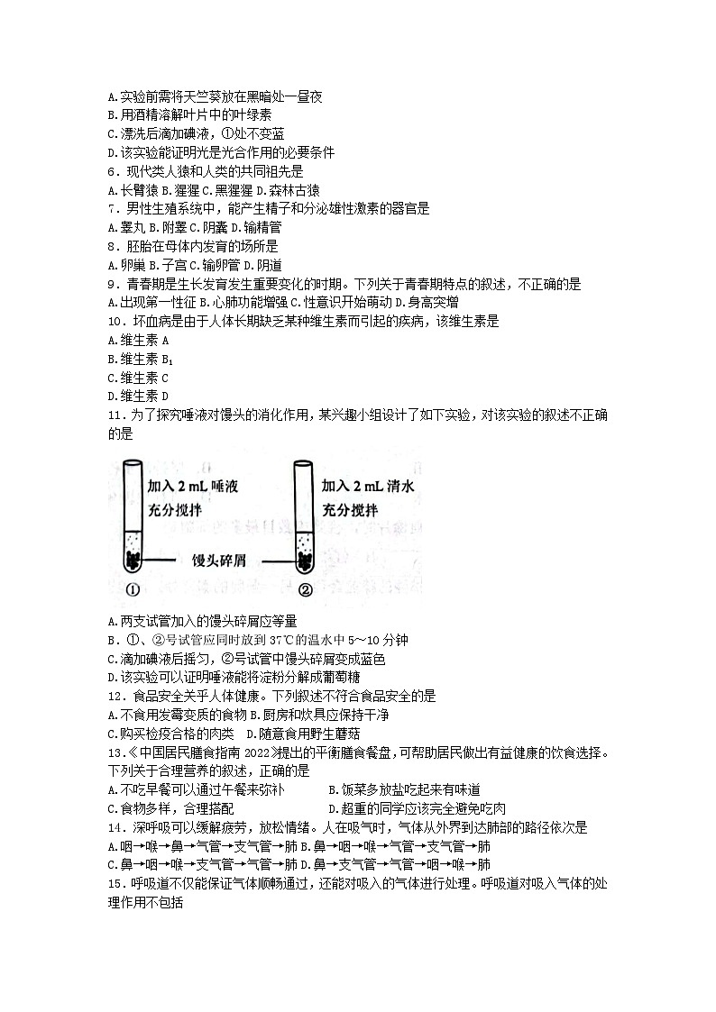 云南省昆明市官渡区2022-2023学年七年级下学期期末生物试题（含答案）02