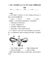 广东省广州市花都区2022-2023学年七年级下学期期末生物试题（含答案）