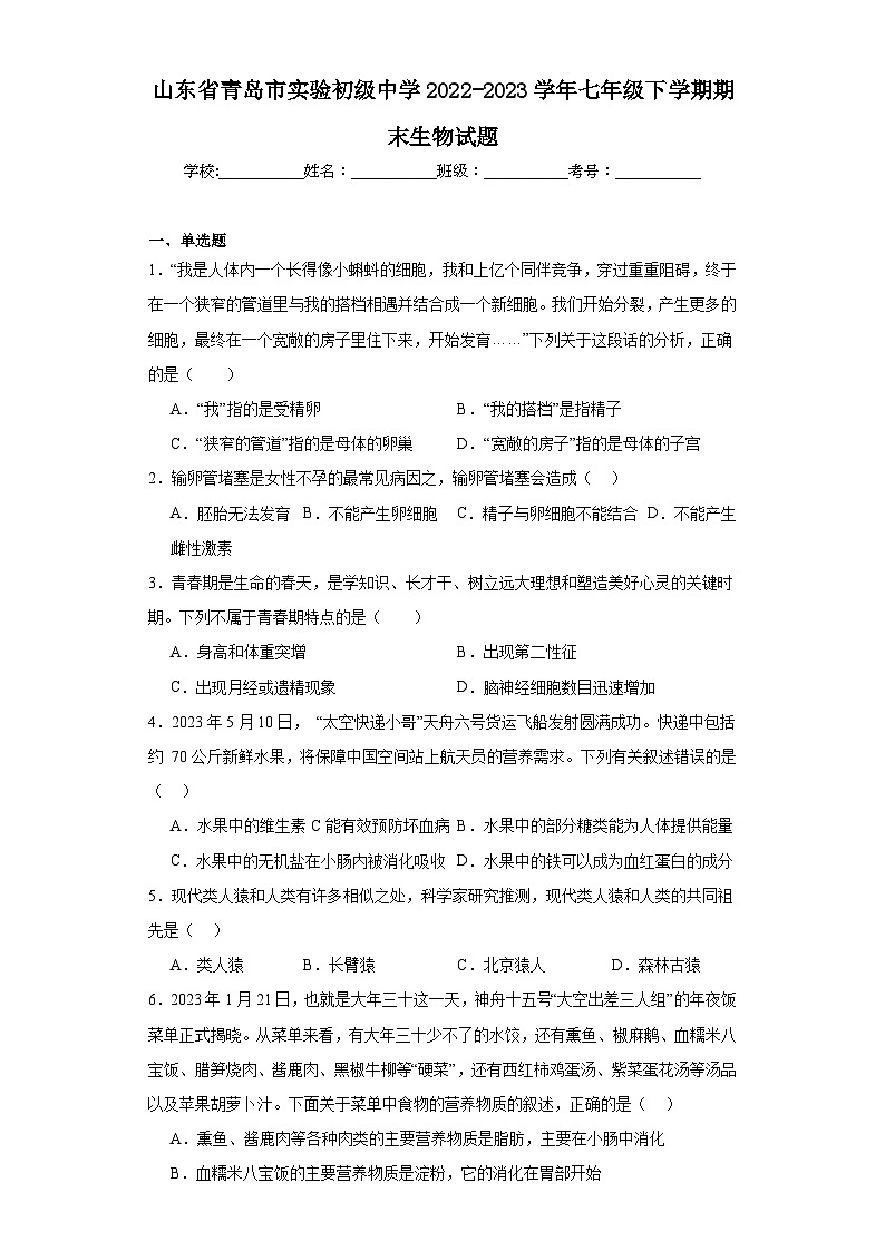 山东省青岛市实验初级中学2022-2023学年七年级下学期期末生物试题（含答案）01