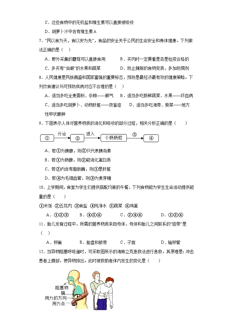 山东省青岛市实验初级中学2022-2023学年七年级下学期期末生物试题（含答案）02