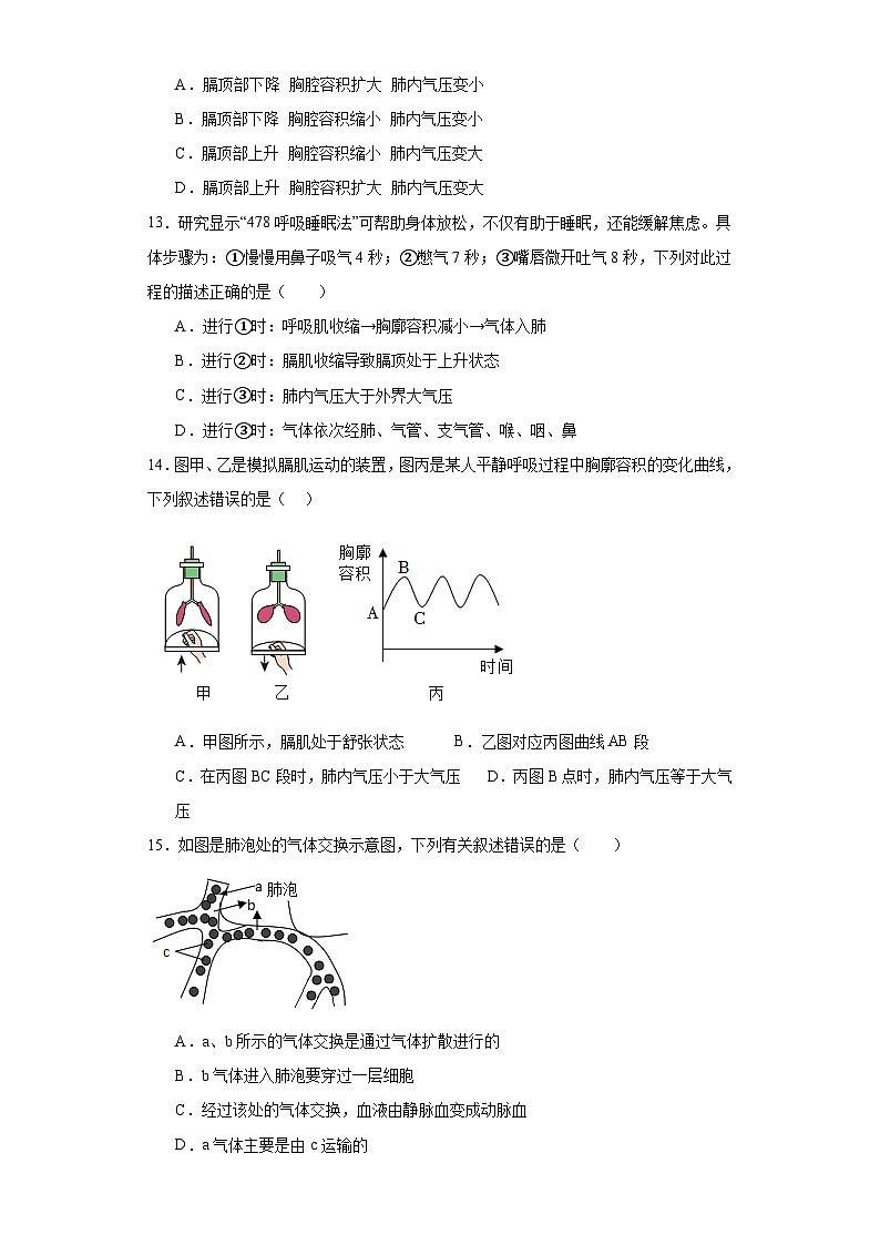 山东省青岛市实验初级中学2022-2023学年七年级下学期期末生物试题（含答案）03