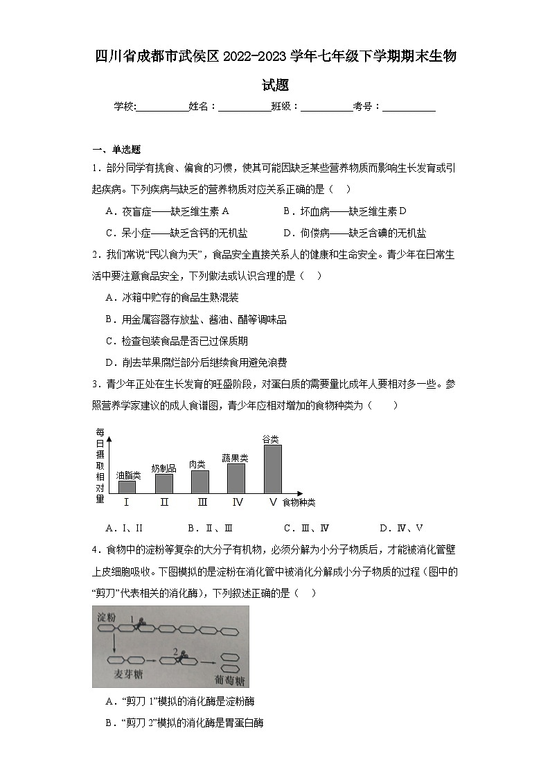 四川省成都市武侯区2022-2023学年七年级下学期期末生物试题（含答案）01