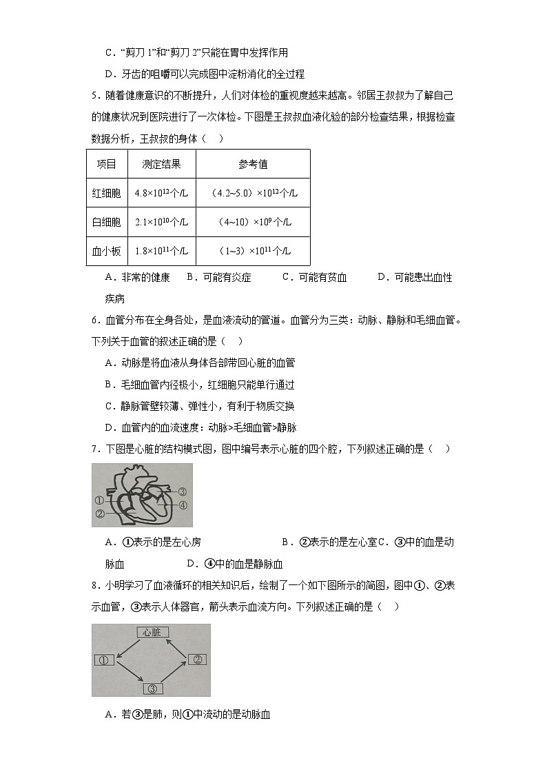 四川省成都市武侯区2022-2023学年七年级下学期期末生物试题（含答案）02