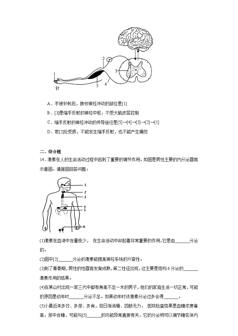 四川省达州市开江县2022-2023学年七年级下学期期末生物试题（含答案）03