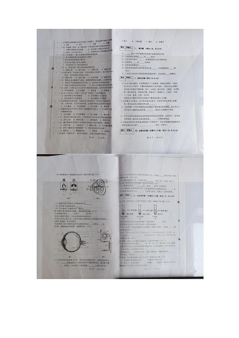 黑龙江省萝北县2022-2023学年七年级下学期期末考试生物试题第2页