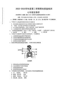 辽宁省大连市中山区2022-2023学年七年级下学期学期生物期末试卷