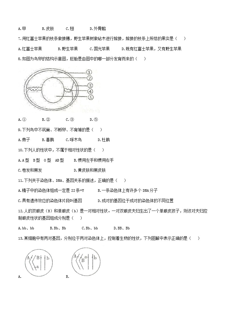 河北省承德市平泉市2022-2023学年八年级下学期期末生物试题第2页