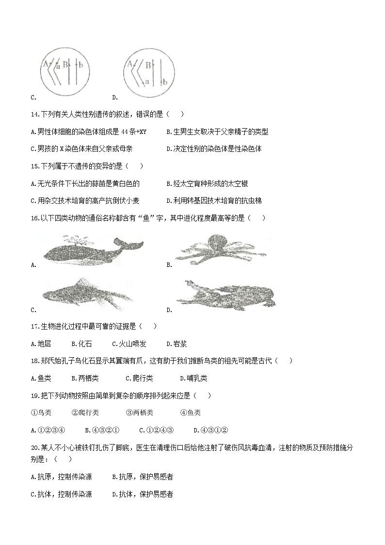 河北省承德市平泉市2022-2023学年八年级下学期期末生物试题第3页