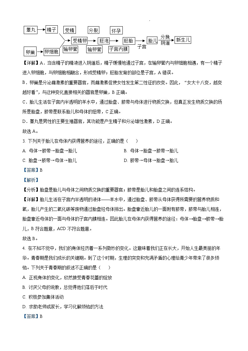 精品解析：四川省达州市宣汉县2022-2023学年七年级下学期期末生物试题（解析版）第2页