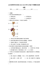 山东省菏泽市东明县2022-2023学年七年级下学期期末生物试题（含答案）