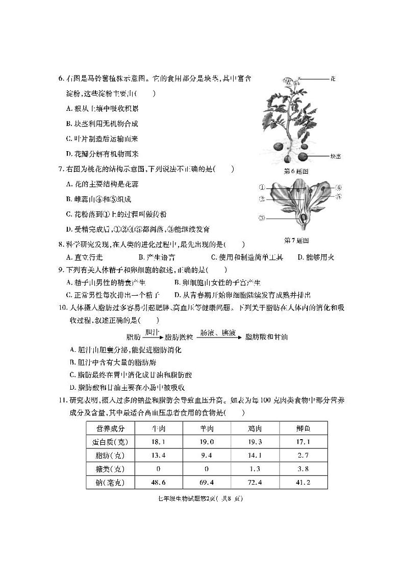 陕西省渭南市大荔县2022-2023学年七年级下学期期末生物试题第2页
