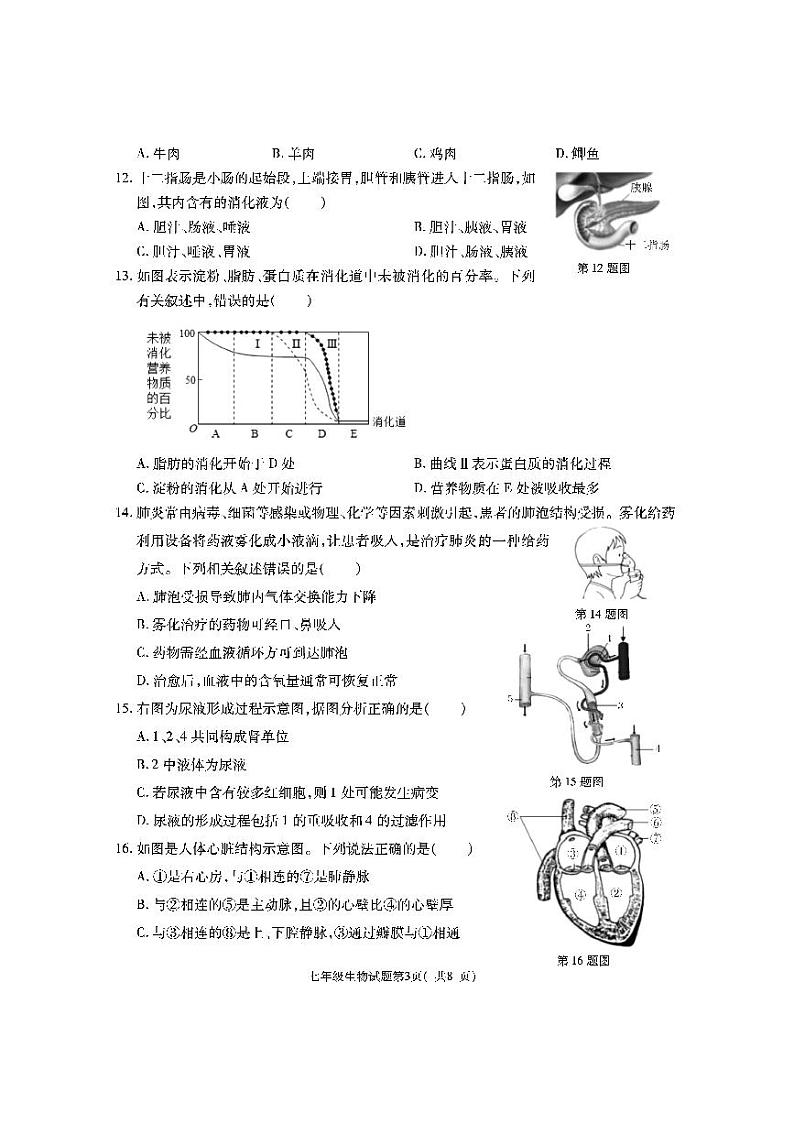 陕西省渭南市大荔县2022-2023学年七年级下学期期末生物试题第3页