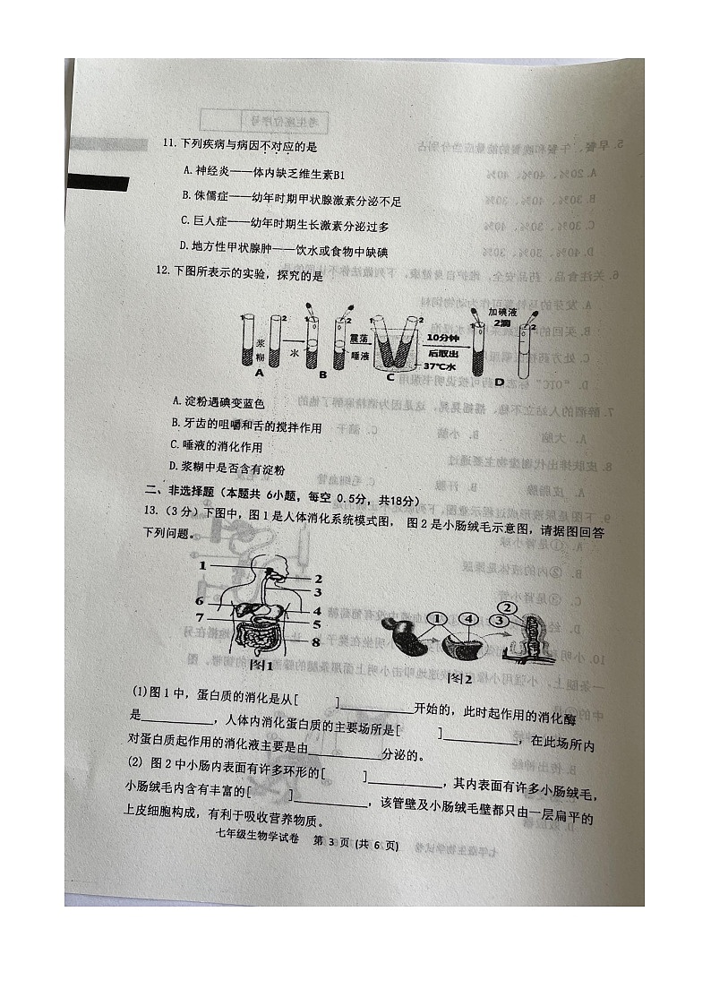 辽宁省本溪市2022-2023学年七年级下学期7月期末生物试题03