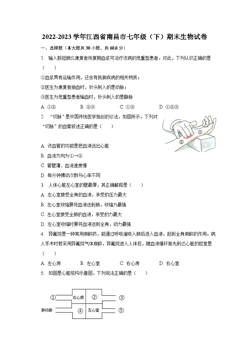 2022-2023学年江西省南昌市七年级（下）期末生物试卷（含解析）第1页