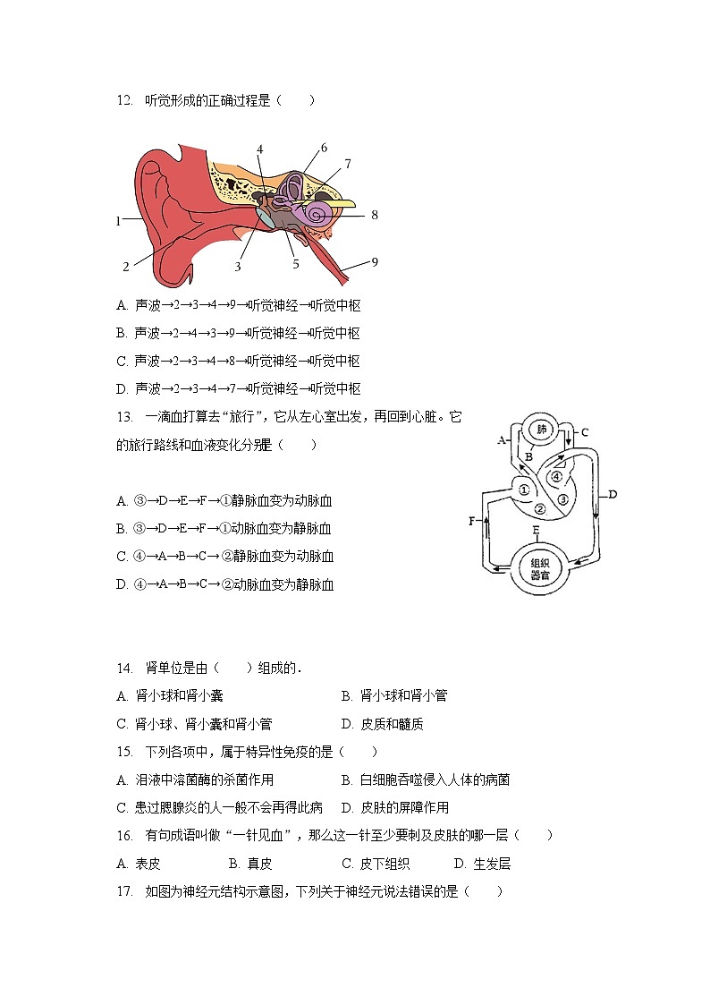 2022-2023学年山东省济南市济阳区七年级（下）期末生物试卷（含解析）03