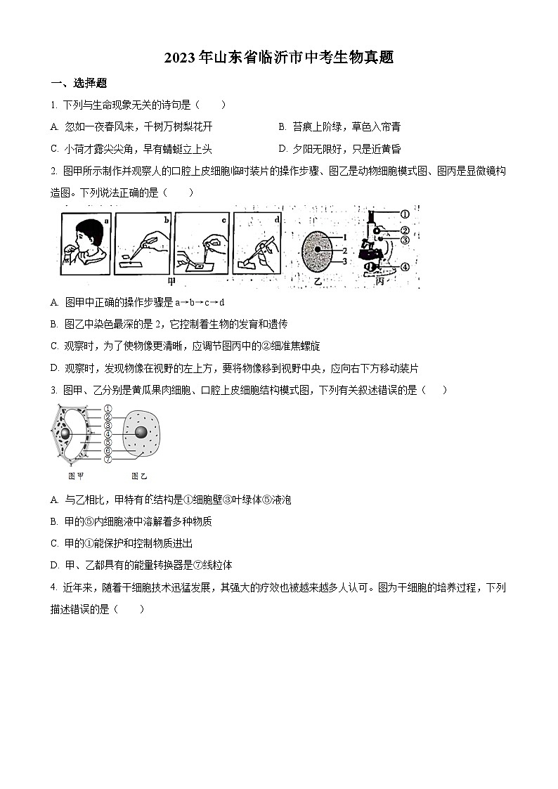 2023年山东省临沂市中考生物真题01
