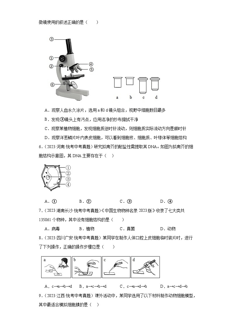全国中考生物2023年真题分类汇编-08细胞是生物体结构和功能的基本单位选择题①第2页
