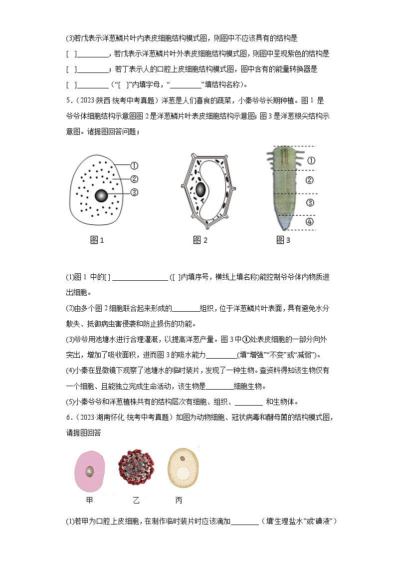 全国中考生物2023年真题分类汇编-10细胞是生物体结构和功能的基本单位综合题第3页