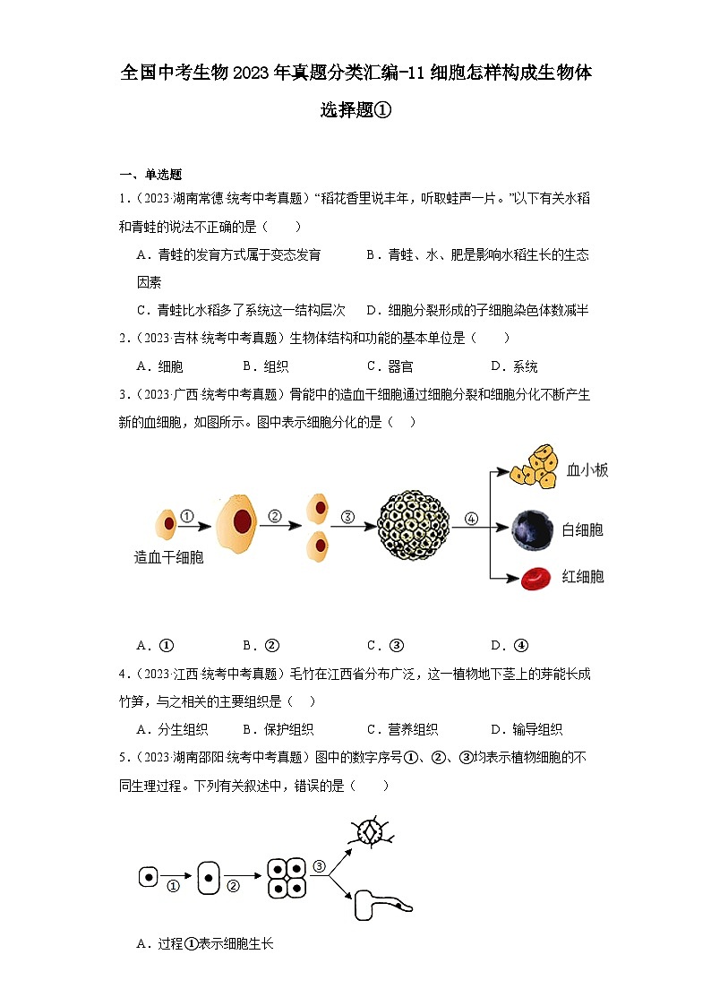 全国中考生物2023年真题分类汇编-11细胞怎样构成生物体选择题①第1页
