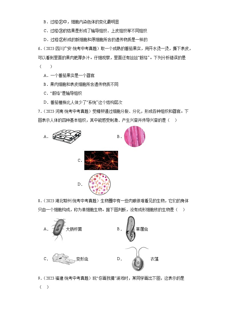 全国中考生物2023年真题分类汇编-11细胞怎样构成生物体选择题①第2页