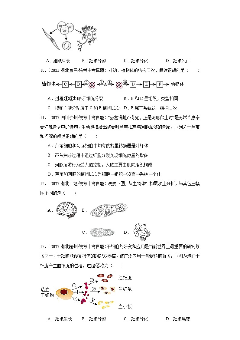 全国中考生物2023年真题分类汇编-11细胞怎样构成生物体选择题①第3页