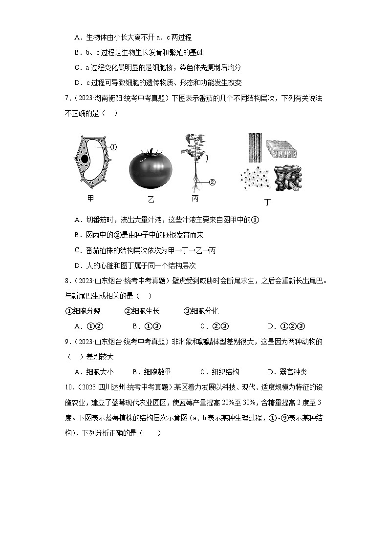 全国中考生物2023年真题分类汇编-12细胞怎样构成生物体选择题②第2页
